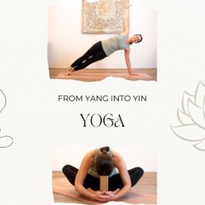 From Yang into Yin