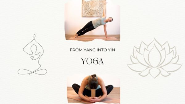 From Yang into Yin